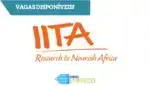 Logótipo de IITA