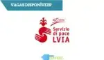 Logótipo de LVIA