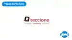 Direccione Consulting