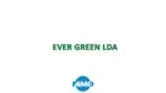 Ever Green