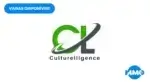 Culturelligence