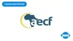 Africa Enterprise Challenge Fund (AECF)