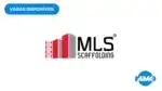 MLS Scaffolding